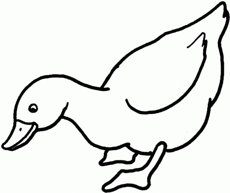 Desenho para colorir
