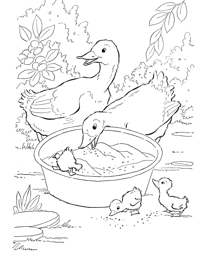 Desenho para colorir