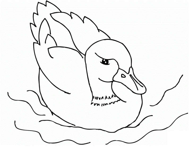Desenho para imprimir