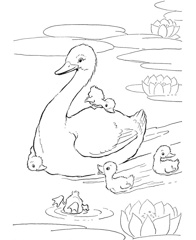 Desenho para imprimir