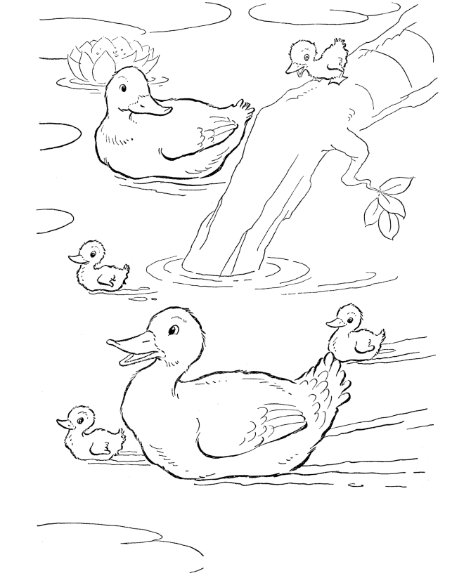 Desenho para colorir
