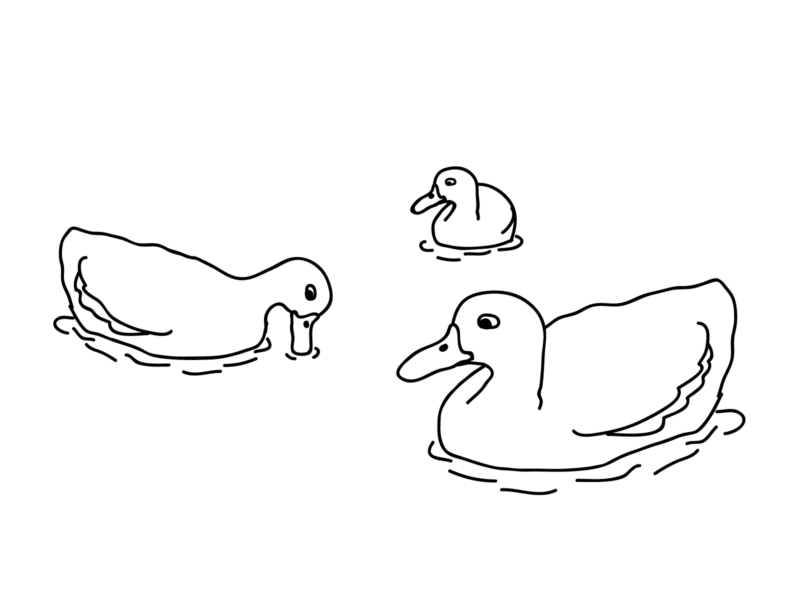 Desenho para colorir