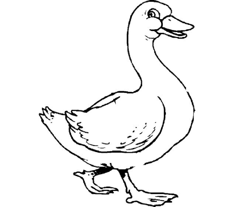 Desenho para colorir