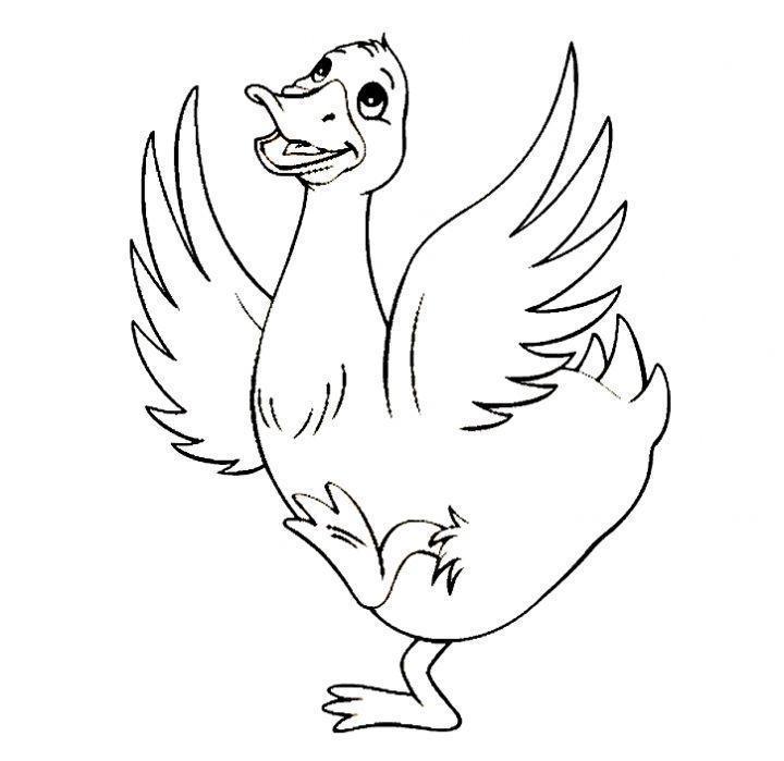 Desenho para colorir