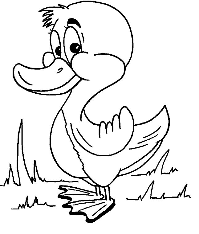 Desenho para colorir
