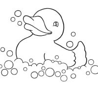 Desenhos para colorir Patinhos