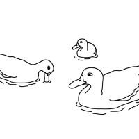 Desenhos para colorir Patinhos