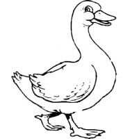 Desenhos para colorir Patinhos