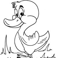 Desenhos para colorir Patinhos