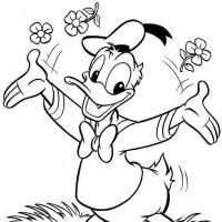 Pato Donald