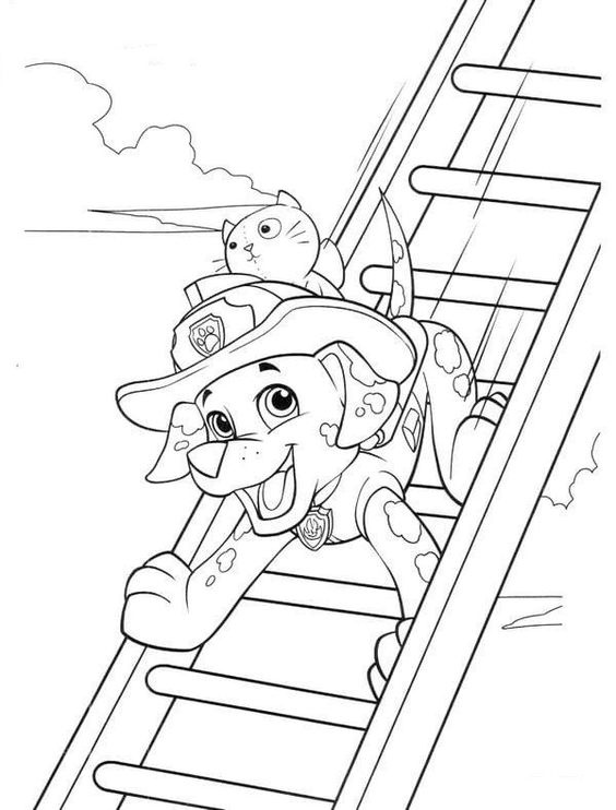 Desenho para colorir