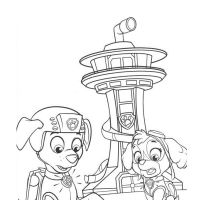 Desenhos para colorir Patrulha Canina
