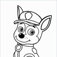 Desenhos para colorir Patrulha Canina