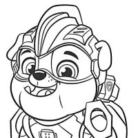 Desenhos para colorir Patrulha Canina