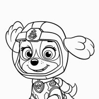 Desenhos para colorir Patrulha Canina
