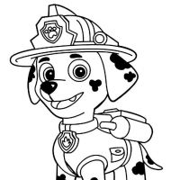 Desenhos para colorir Patrulha Canina