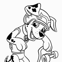 Desenhos para colorir Patrulha Canina