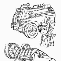 Desenhos para colorir Patrulha Canina