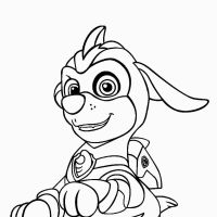 Desenhos para colorir Patrulha Canina
