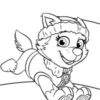 Desenhos para colorir Patrulha Canina