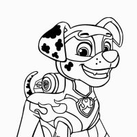 Desenhos para colorir Patrulha Canina