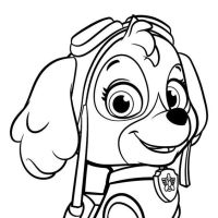 Desenhos para colorir Patrulha Canina