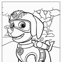 Desenhos para colorir Patrulha Canina