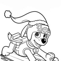 Desenhos para colorir Patrulha Canina