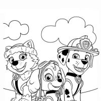 Desenhos para colorir Patrulha Canina