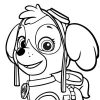 Desenhos para colorir Patrulha Canina