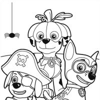 Desenhos para colorir Patrulha Canina