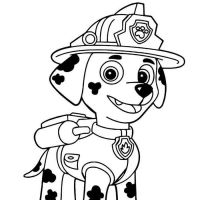 Desenhos para colorir Patrulha Canina