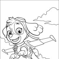 Desenhos para colorir Patrulha Canina