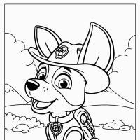 Desenhos para colorir Patrulha Canina