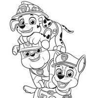 Desenhos para colorir Patrulha Canina