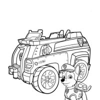 Desenhos para colorir Patrulha Canina