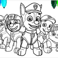 Desenhos para colorir Patrulha Canina
