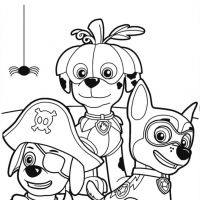 Desenhos para colorir Patrulha Canina