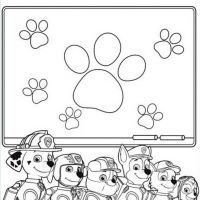 Desenhos para colorir Patrulha Canina