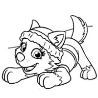 Desenhos para colorir Patrulha Canina