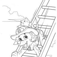 Desenhos para colorir Patrulha Canina