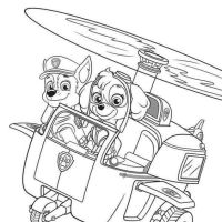 Desenhos para colorir Patrulha Canina
