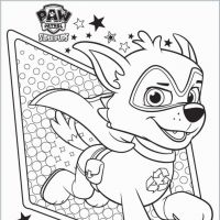 Patrulha Canina