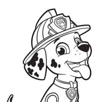 Desenhos para colorir Patrulha Canina