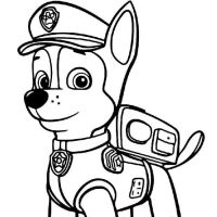Desenhos para colorir Patrulha Canina