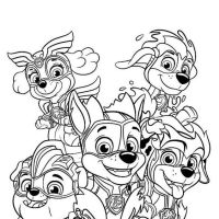 Desenhos para colorir Patrulha Canina