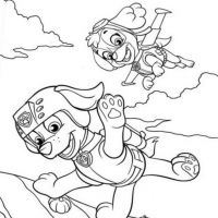 Desenhos para colorir Patrulha Canina