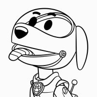 Desenhos para colorir Patrulha Canina