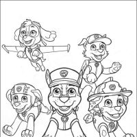 Desenhos para colorir Patrulha Canina