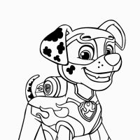 Desenhos para colorir Patrulha Canina